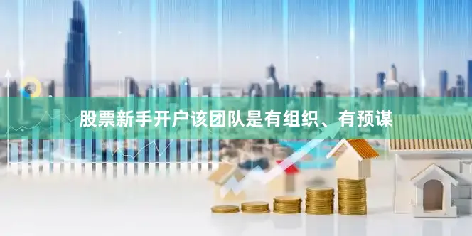 股票新手开户该团队是有组织、有预谋