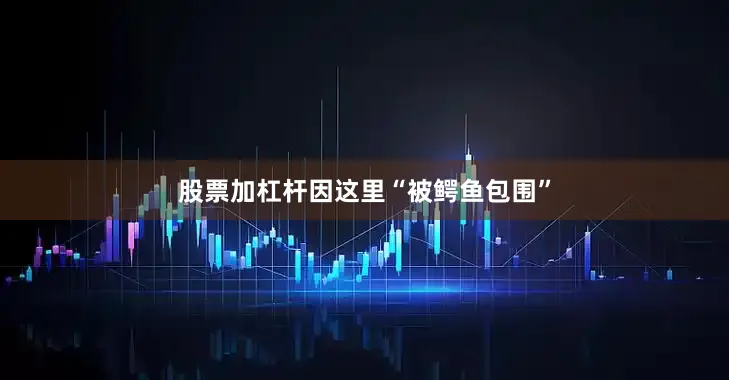 股票加杠杆因这里“被鳄鱼包围”
