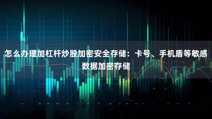 怎么办理加杠杆炒股加密安全存储：卡号、手机盾等敏感数据加密存储