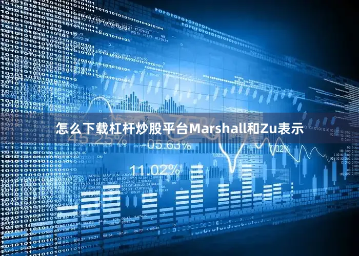 怎么下载杠杆炒股平台 Marshall和Zu表示